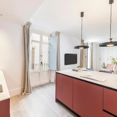 Homeclub Flat Near Picasso Museum Ii *