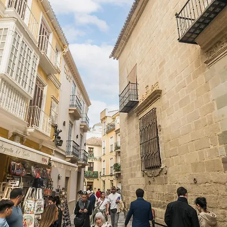 Apartament Homeclub Flat Near Picasso Museum Ii Malaga